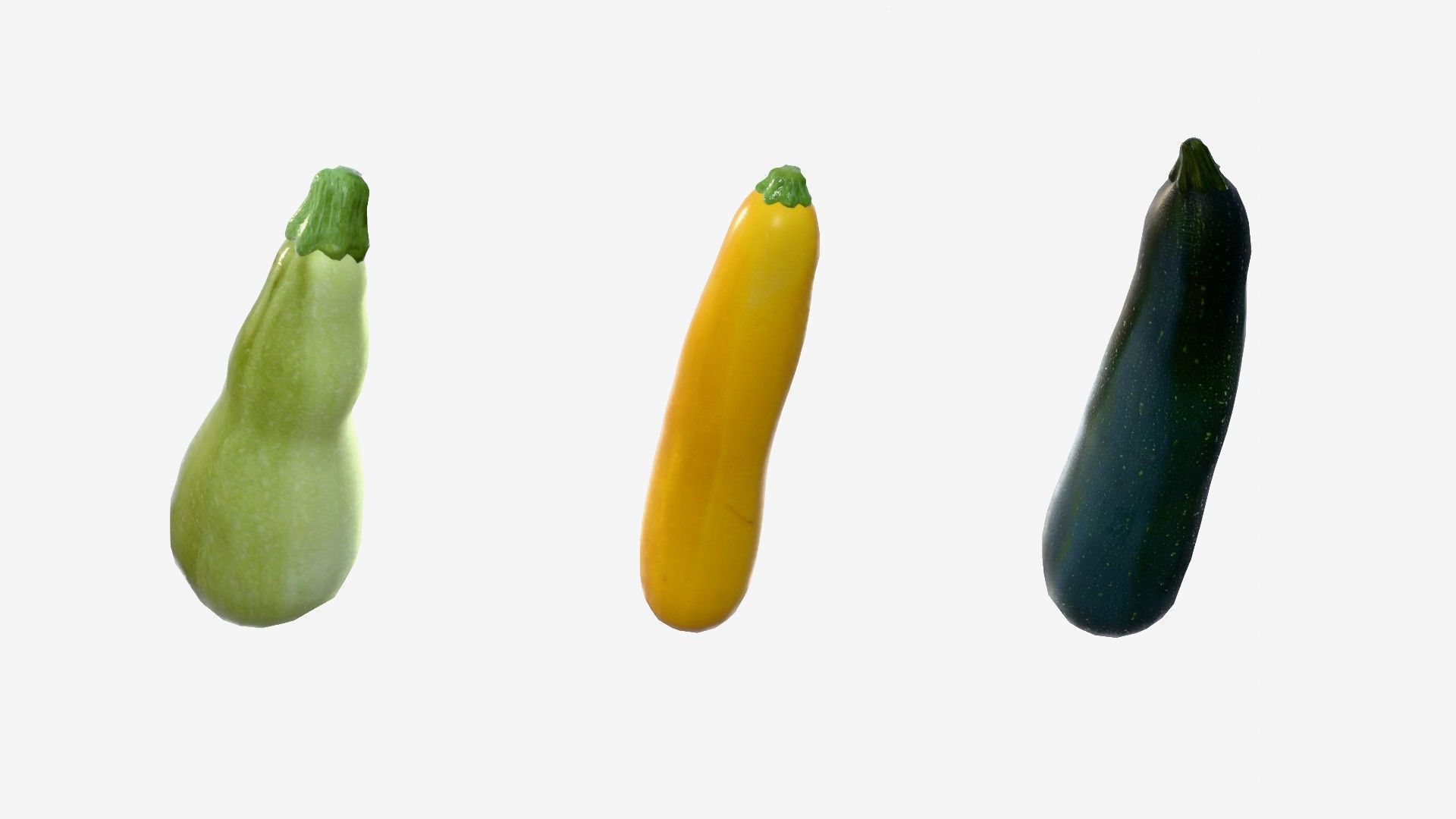 Squash Long Low-poly 3D model_2