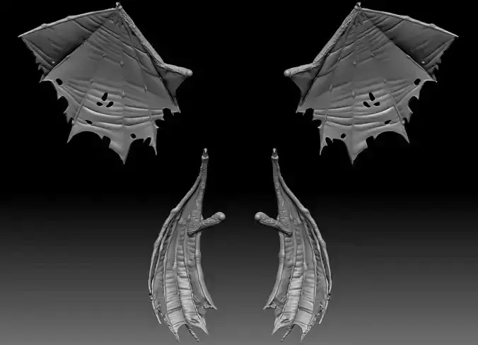 2 Pairs of Bat Wings 3D print model