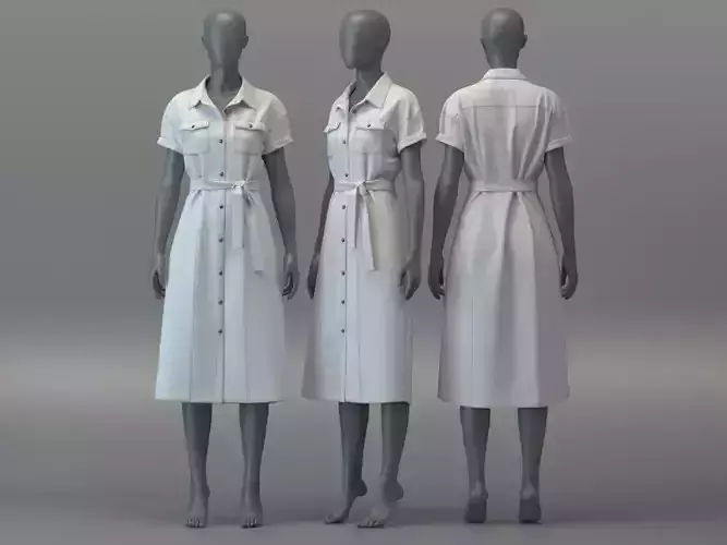 Flared Midi Denim Dress