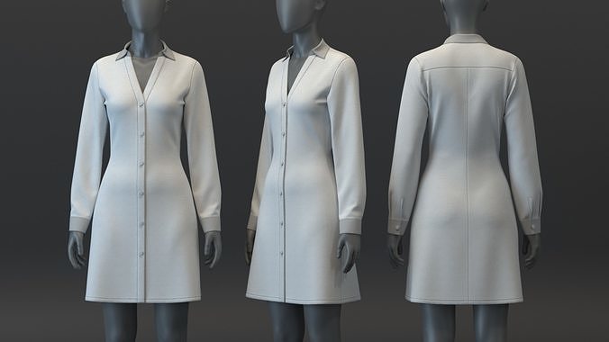 Fit and Flare Dress Shirt 3D model
