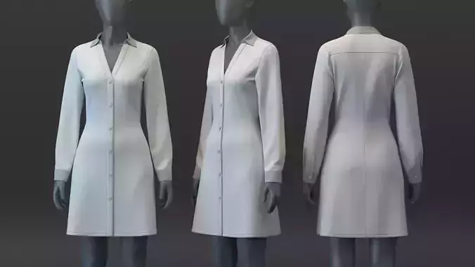 Fit and Flare Dress Shirt