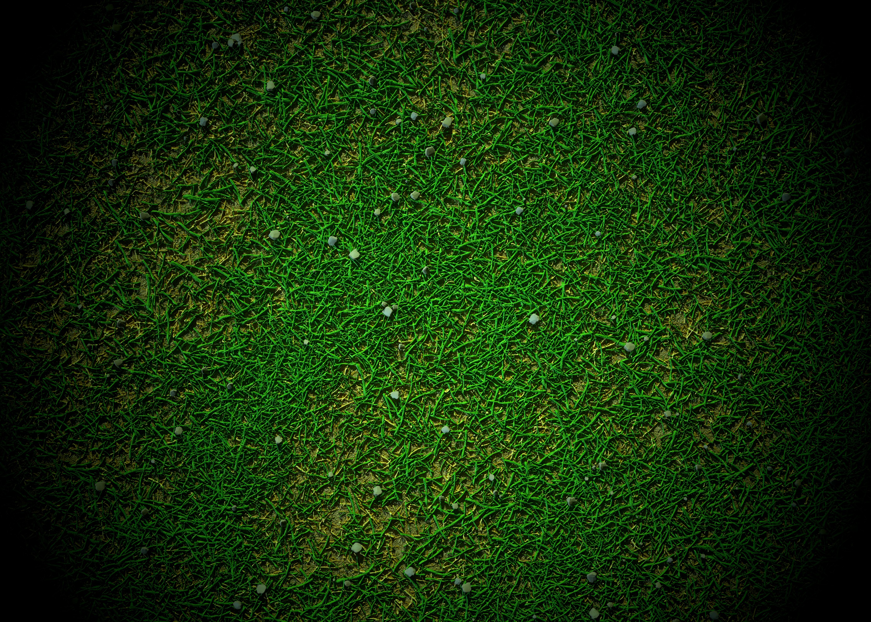 Grass - Wood-VOL 01-Maps - SBsar Texture_6