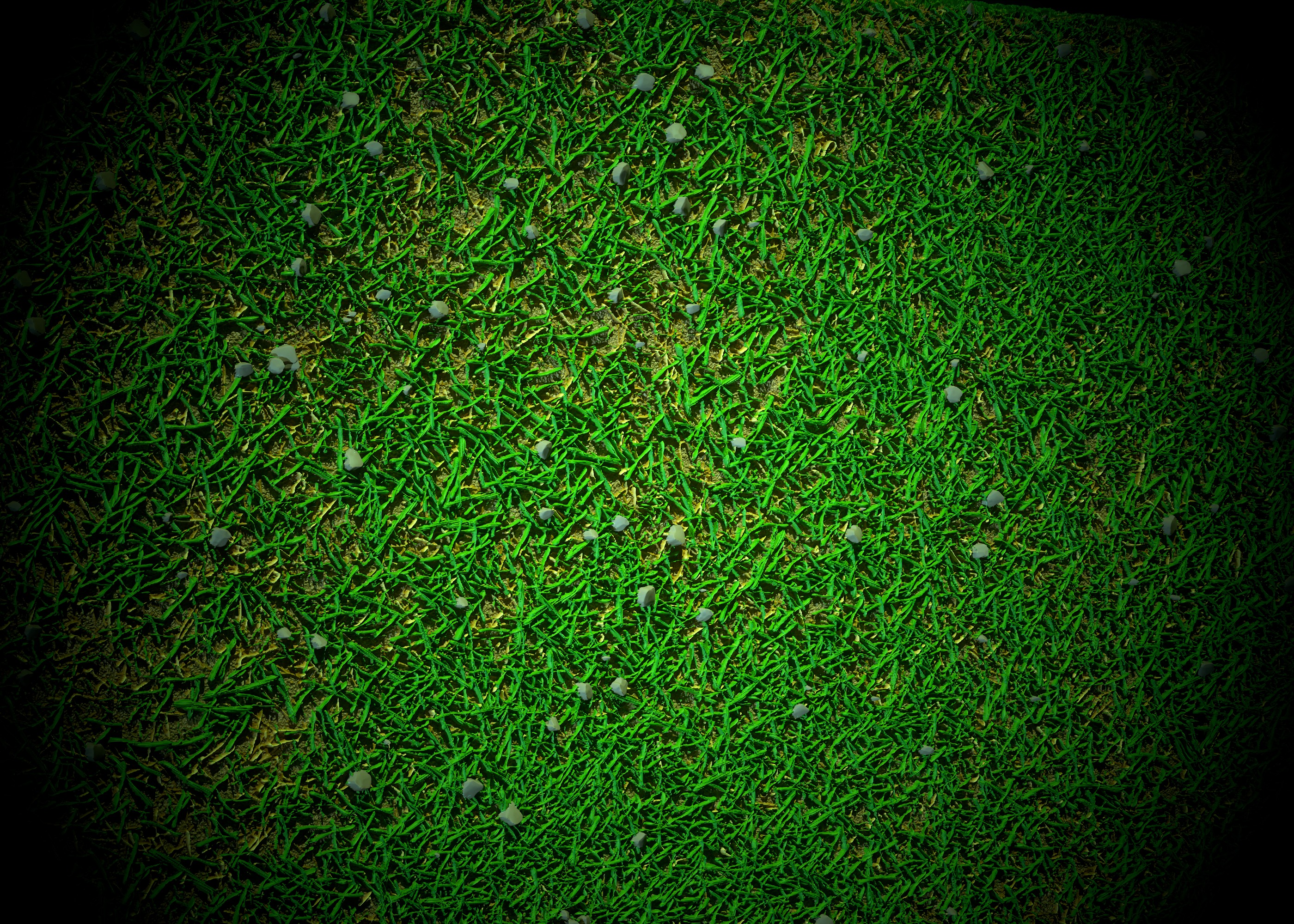 Grass - Wood-VOL 01-Maps - SBsar Texture_7