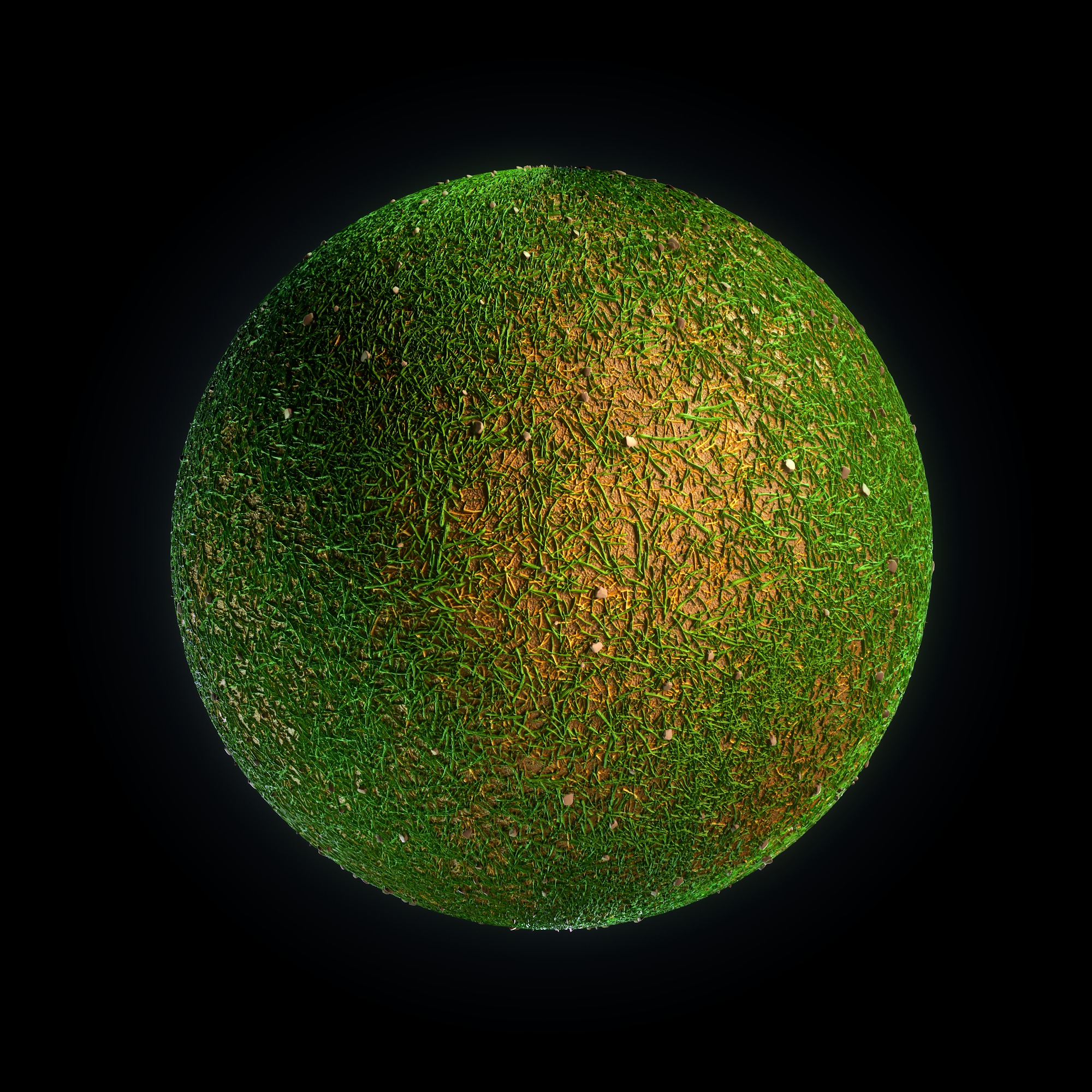 Grass - Wood-VOL 01-Maps - SBsar Texture_1