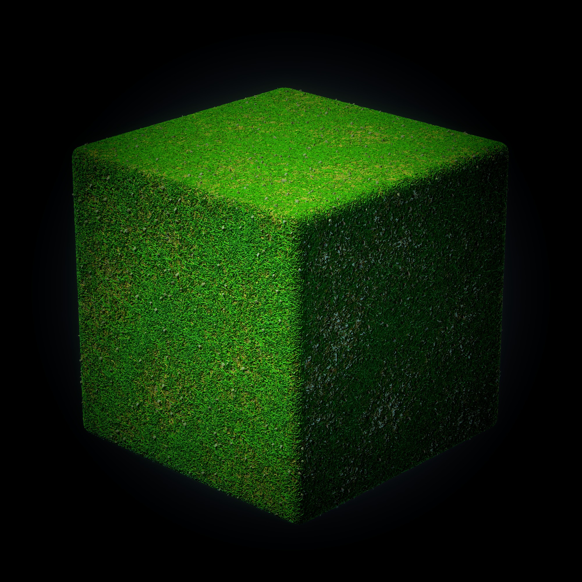 Grass - Wood-VOL 01-Maps - SBsar Texture_3