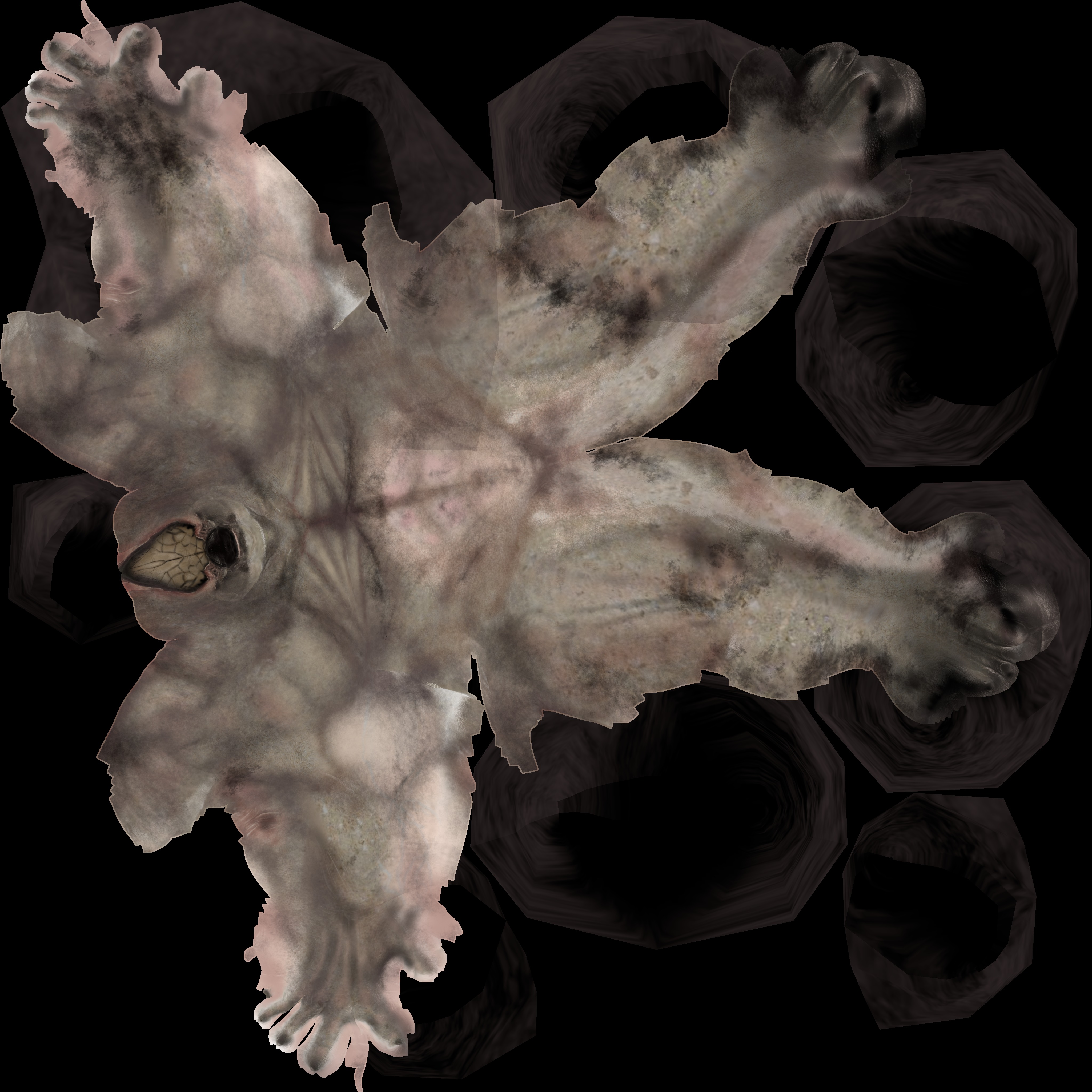 CAVE BEAST Low-poly 3D model_22