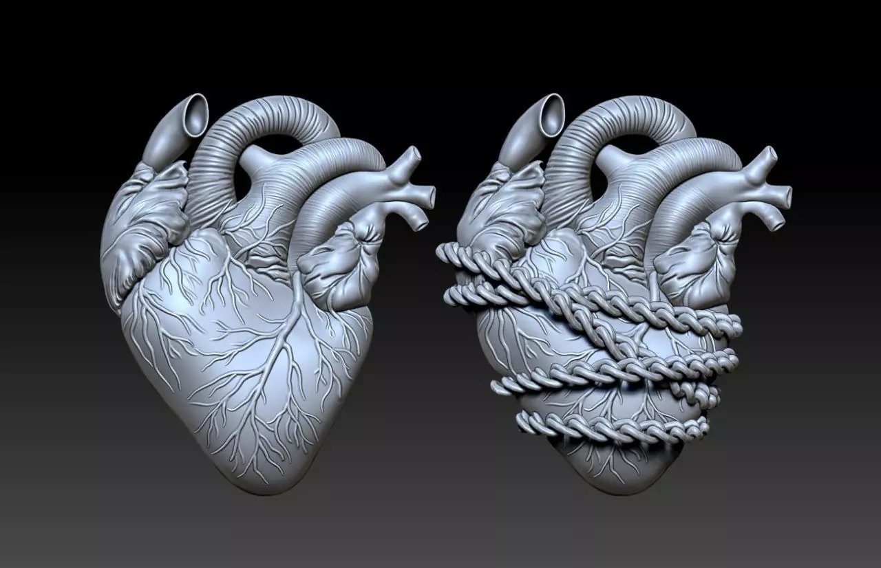 Heart Pack M25 3D print model_0