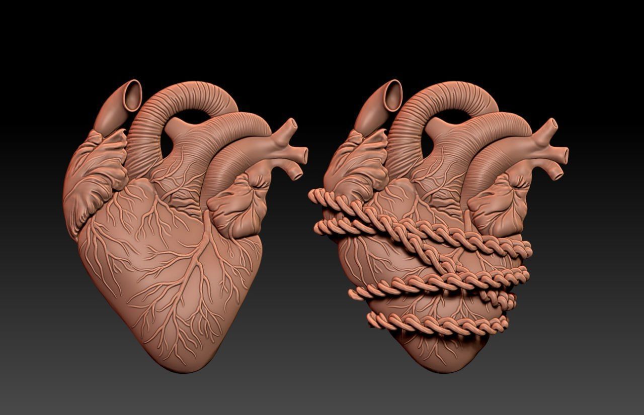 Heart Pack M25 3D print model_1