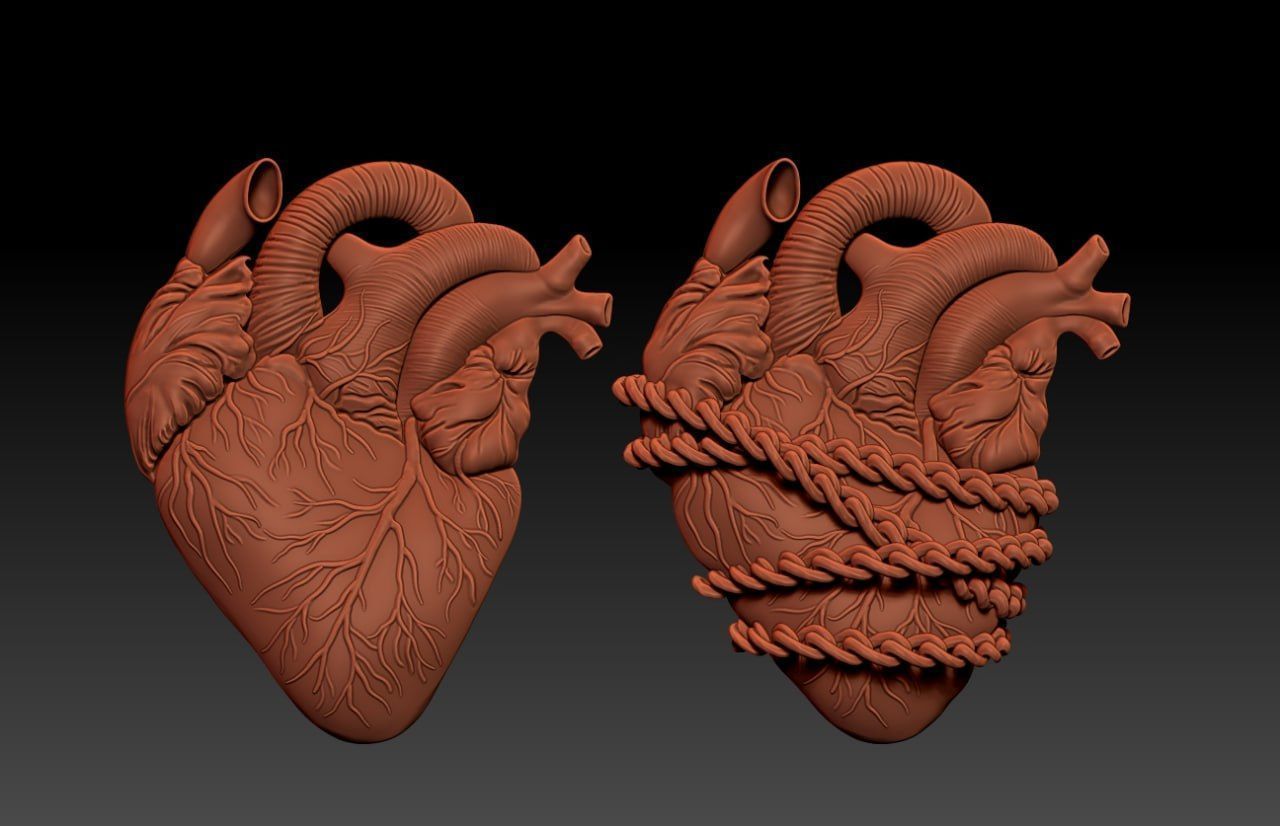 Heart Pack M25 3D print model_2