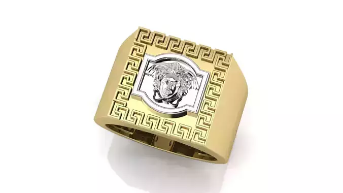 Medusa Ring 3D print model