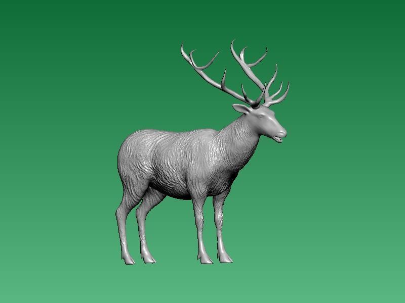 long-horned chamois - 3D print 3D print model_1
