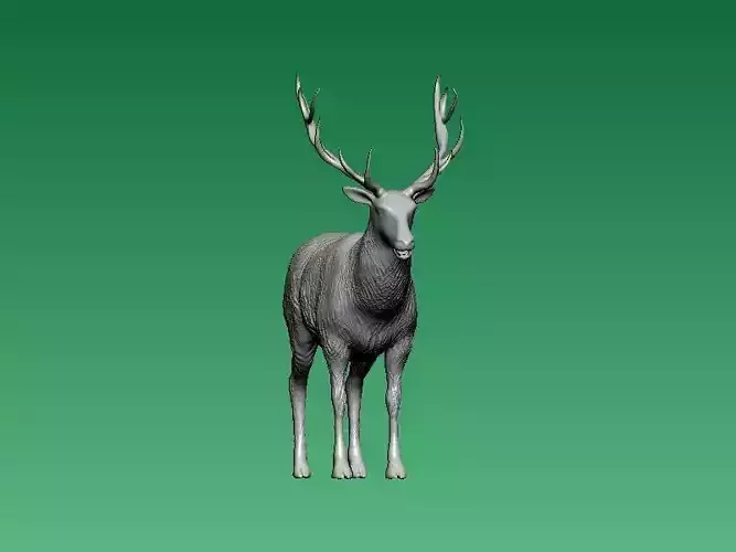 long-horned chamois - 3D print 3D print model