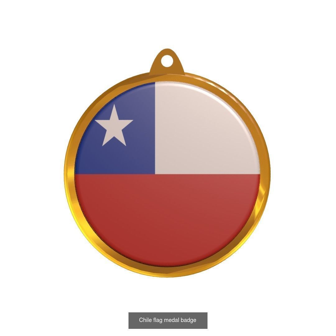 World countries flag medal badge 3D Model Collection_47