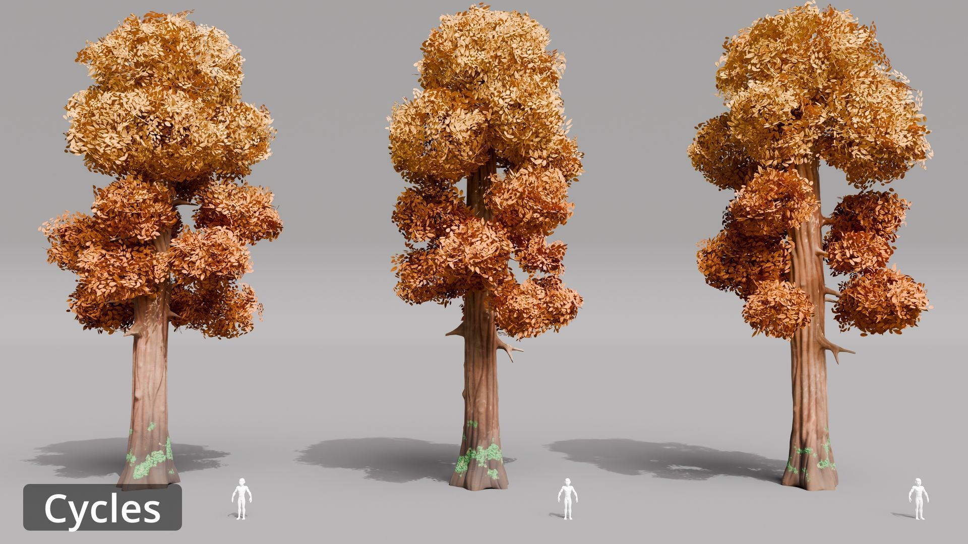Tree Toning - The stylized Tree Pack Low-poly 3D model_10