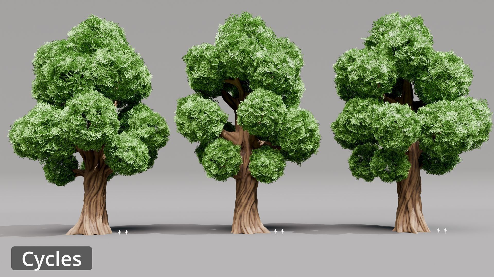 Tree Toning - The stylized Tree Pack Low-poly 3D model_4