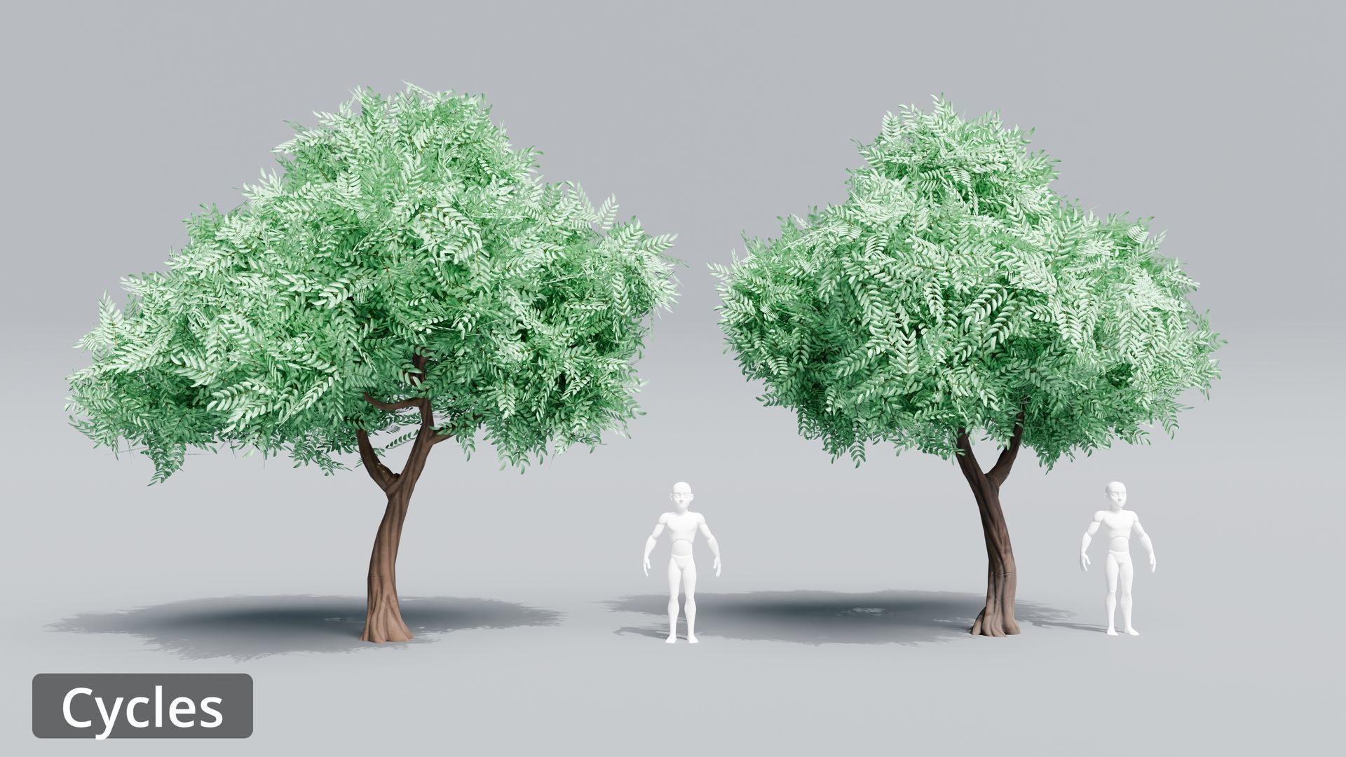 Tree Toning - The stylized Tree Pack Low-poly 3D model_24