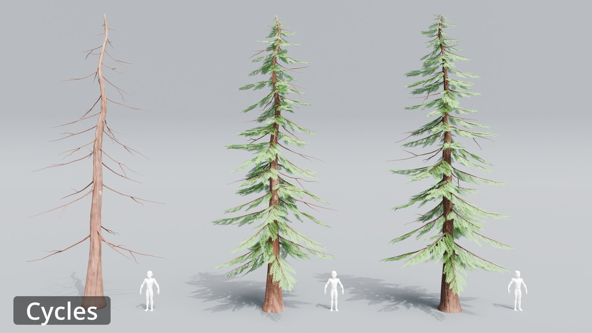 Tree Toning - The stylized Tree Pack Low-poly 3D model_36