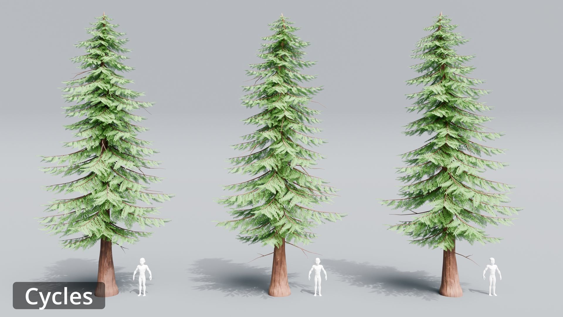 Tree Toning - The stylized Tree Pack Low-poly 3D model_42
