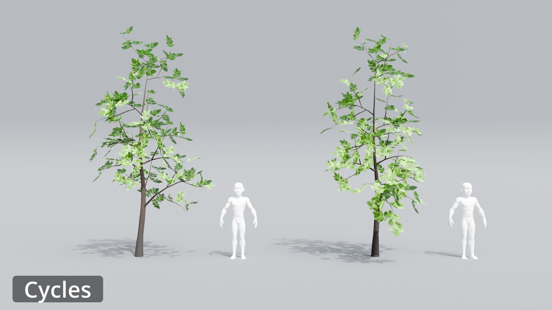 Tree Toning - The stylized Tree Pack Low-poly 3D model_47