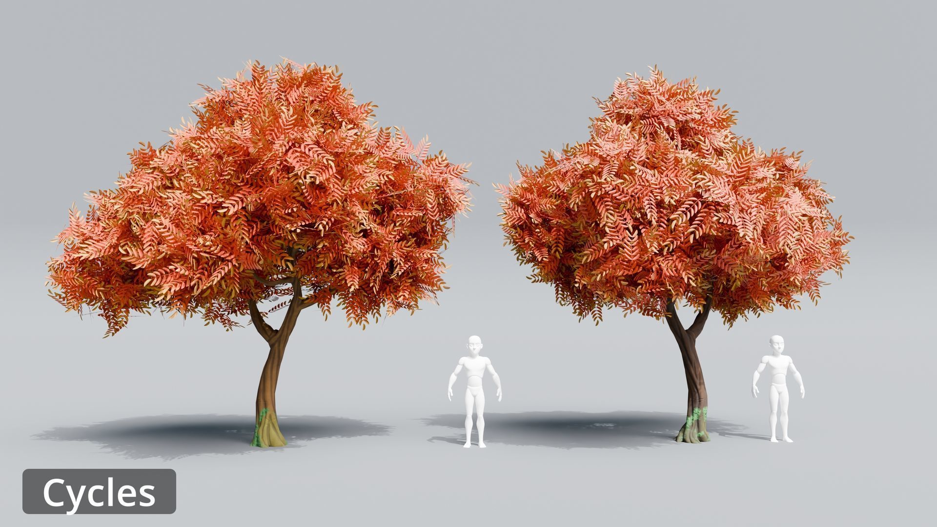 Tree Toning - The stylized Tree Pack Low-poly 3D model_25