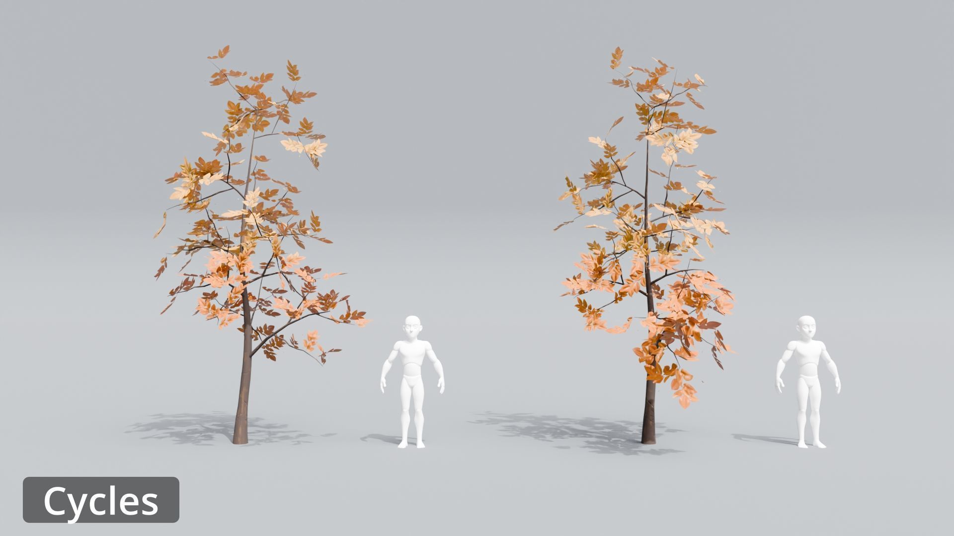 Tree Toning - The stylized Tree Pack Low-poly 3D model_49