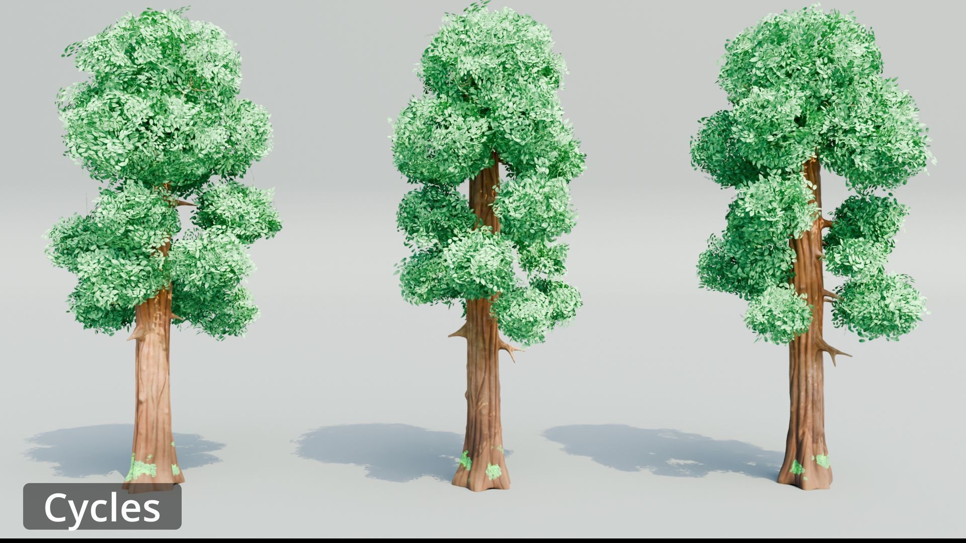 Tree Toning - The stylized Tree Pack Low-poly 3D model_8