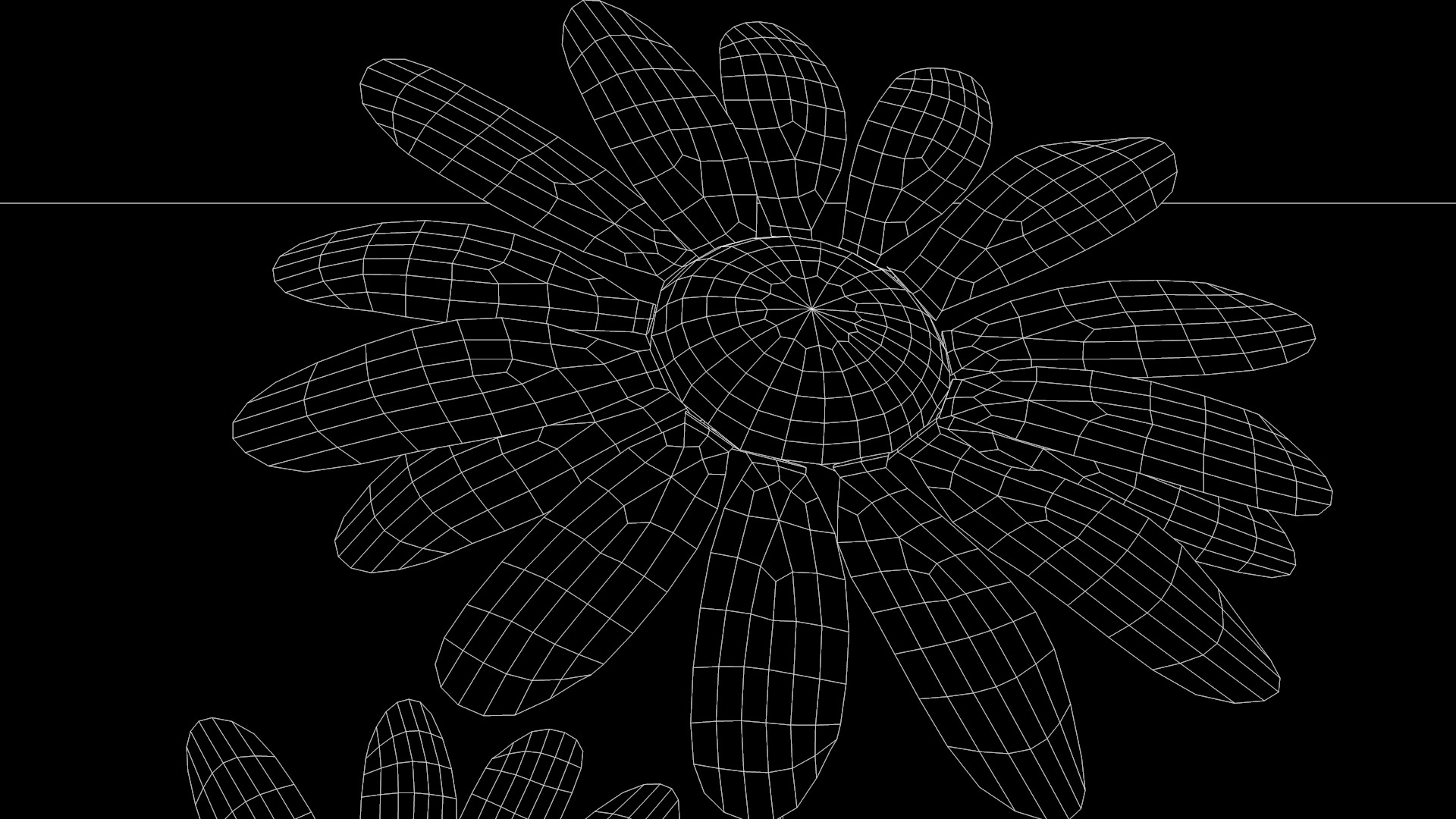 Daisy Flower Rosa 3D model_15