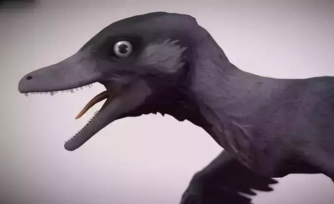 Microraptor Low-poly 3D model