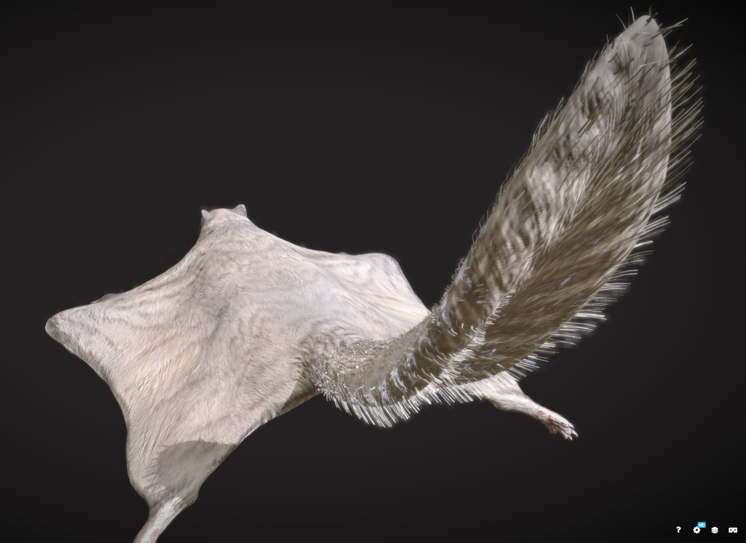 Siberian flying squirrel Low-poly 3D model_5
