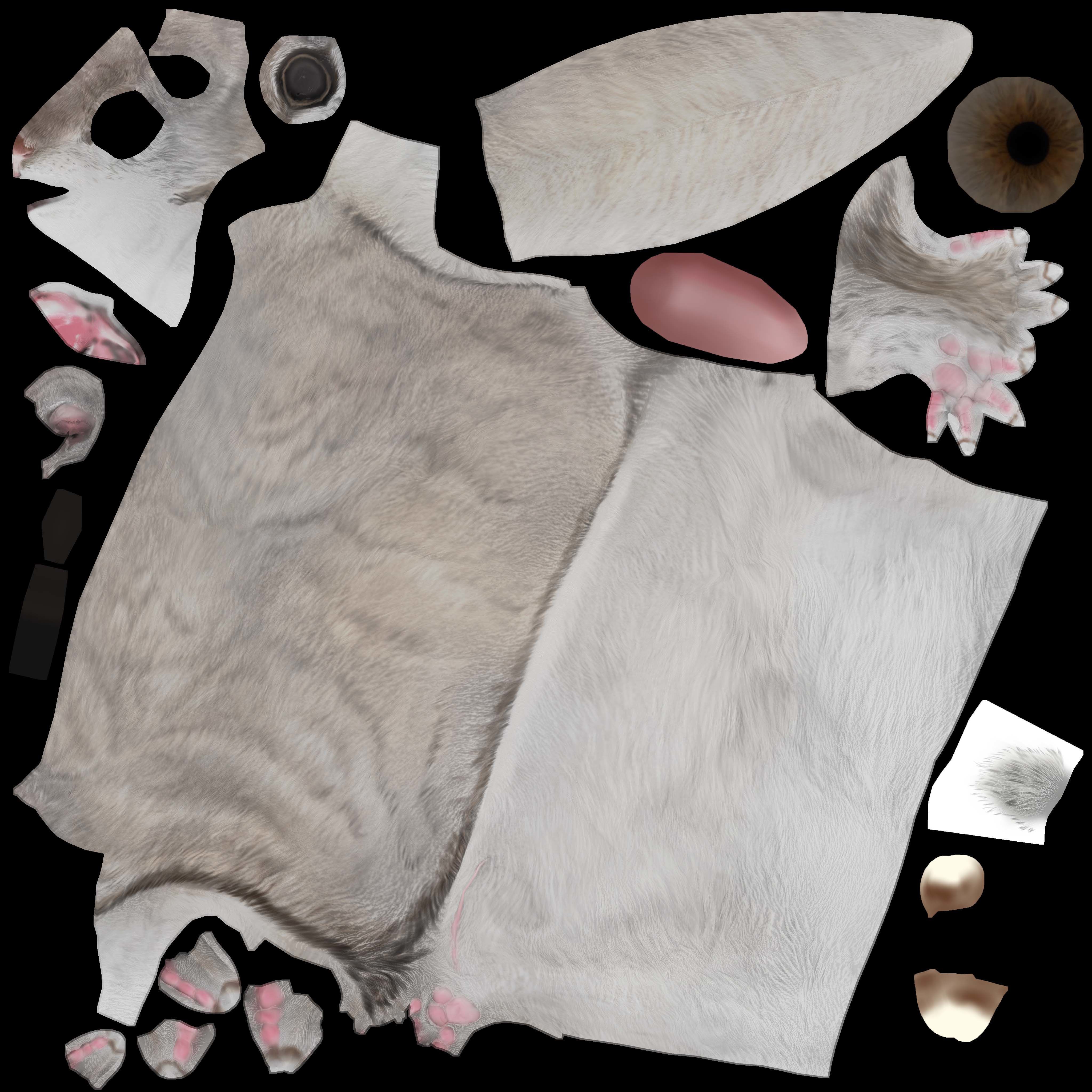 Siberian flying squirrel Low-poly 3D model_7