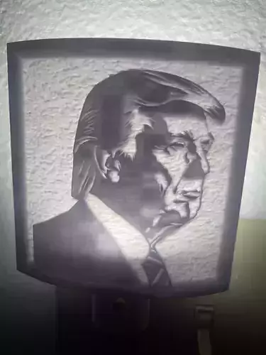 Trump Night Light 3D print model