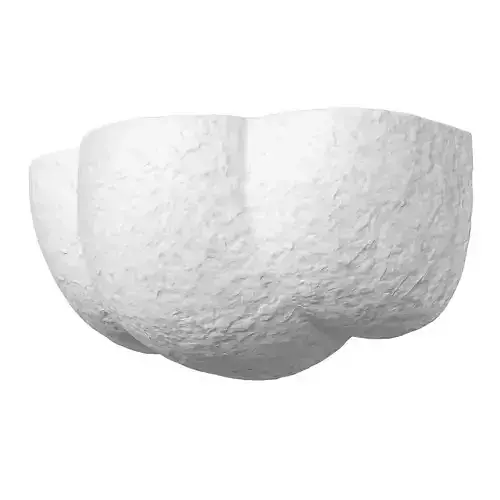 Pierre Augustin Rose sconce Eole