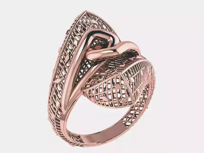 Lock Wire Mesh Plain gold ring