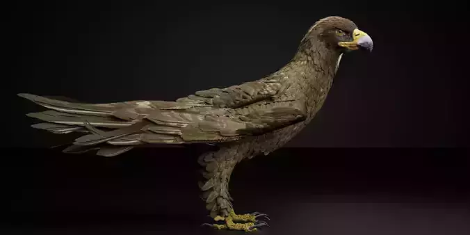 Golden Eagle 3D Model I Game Ready Blender