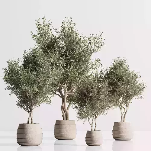 plant indoor stand 73 3D model