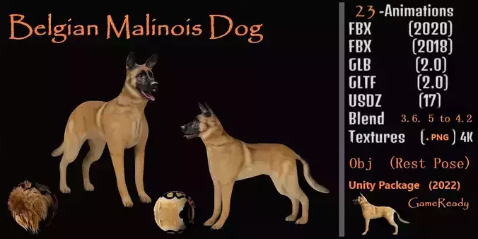 Belgian Malinois Dog Low-poly 3D model