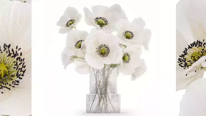 Beautiful Bouquet Of White Wild Flowers Poppy 466