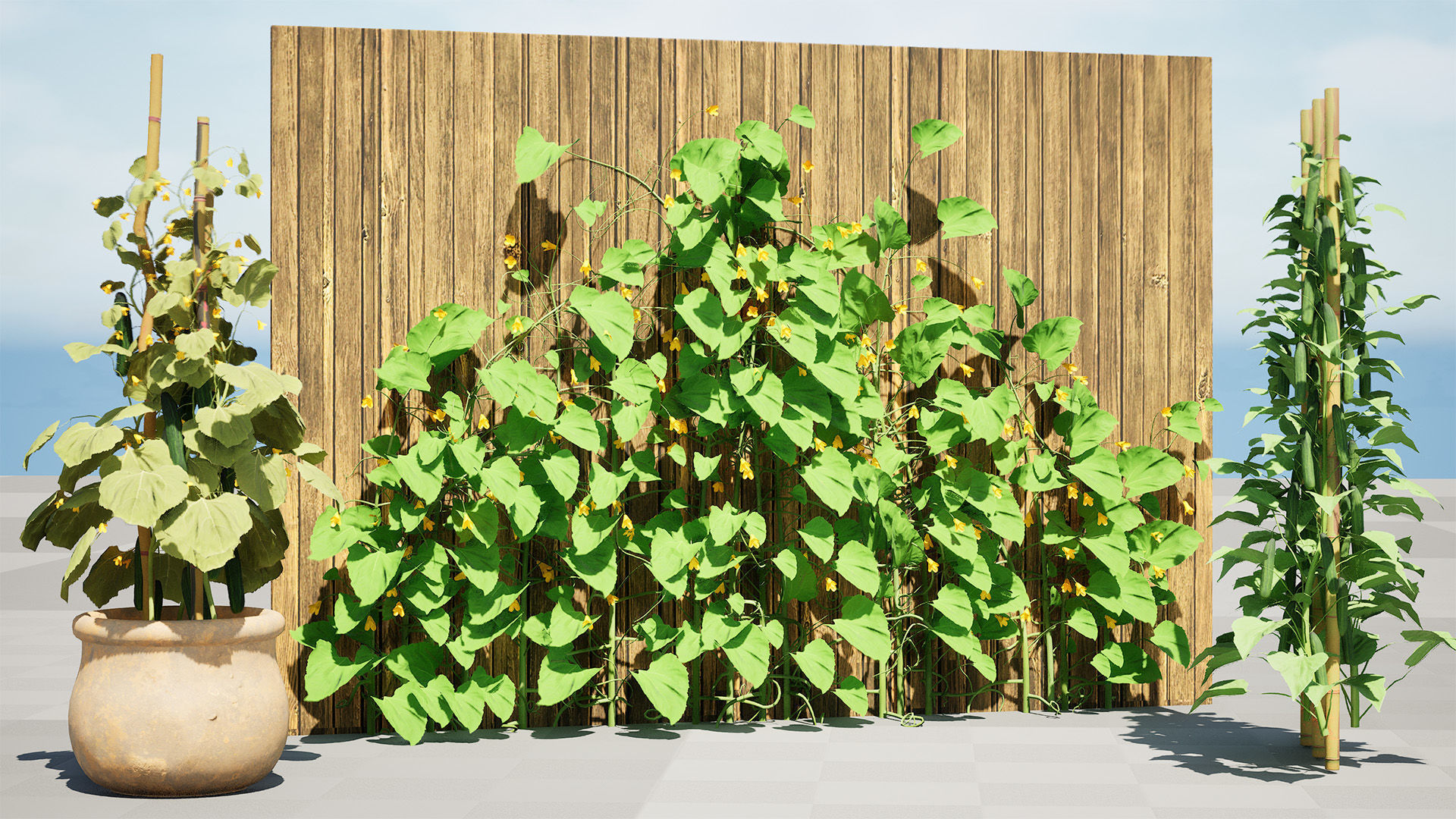 Cucumber Plant Bundle Low-poly 3D model_9