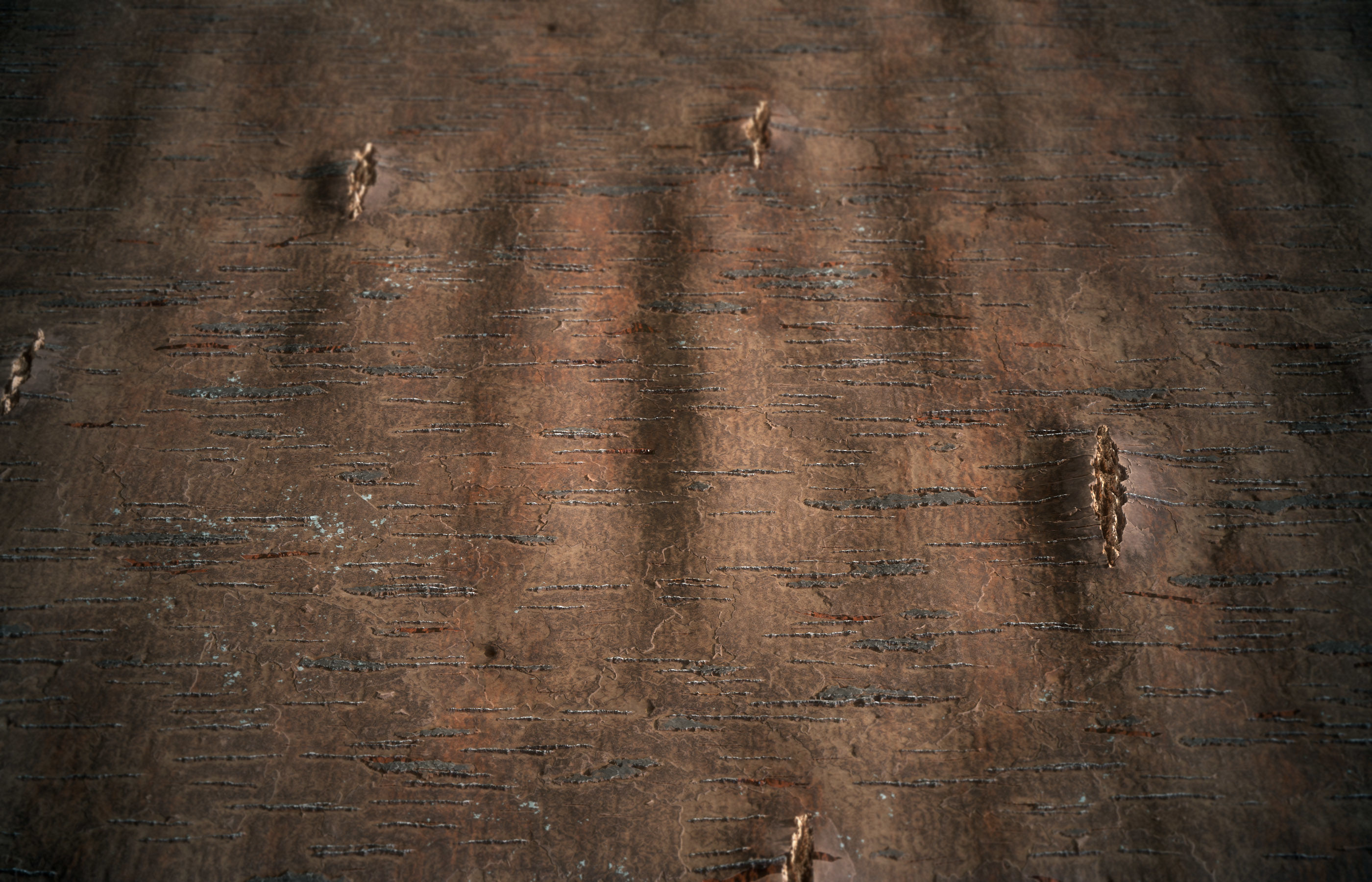 Wood Bark Material - VOL 03 - Maps - SBsar Texture_3