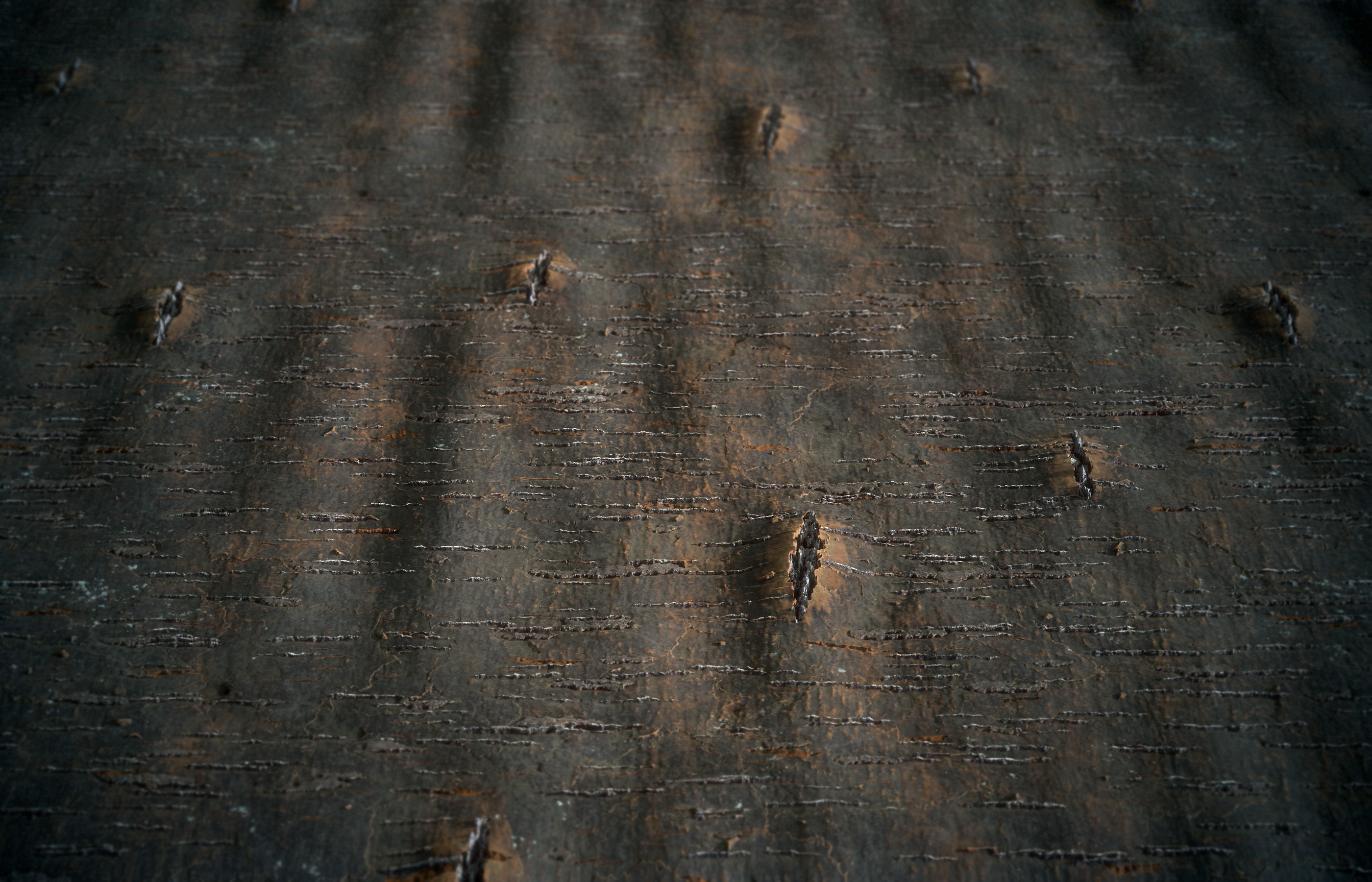 Wood Bark Material - VOL 03 - Maps - SBsar Texture_4