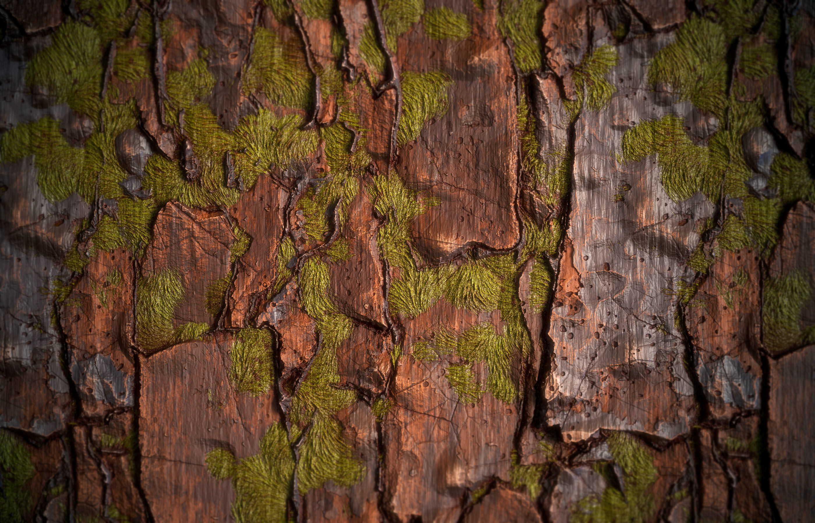 Wood Bark Material - VOL 05 - Maps - SBsar Texture_7