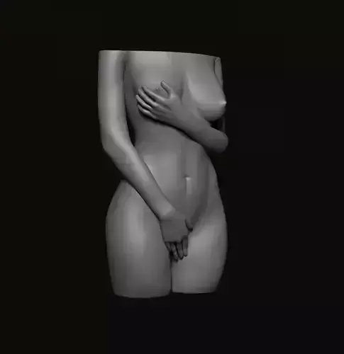 Female Torso - 3D Print 3D print model