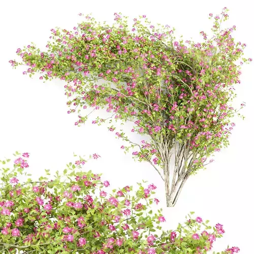 Climbing Wall Flowers 3D Models Collection Vol 281