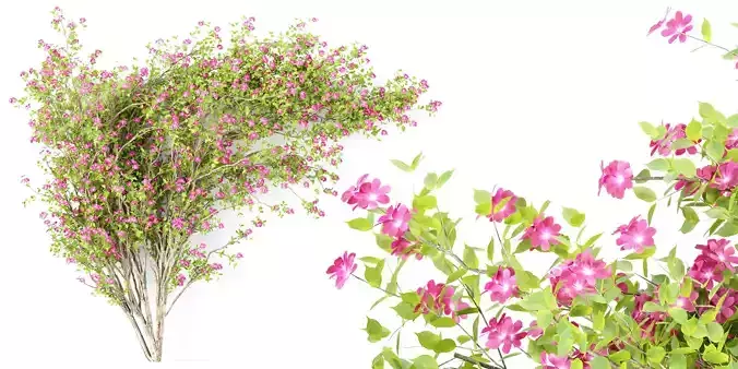 Climbing Wall Flowers 3D Models Collection Vol 281-Blender