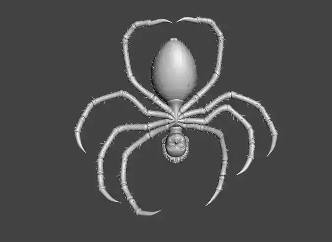 Spider Brother 3D Model 3D print model