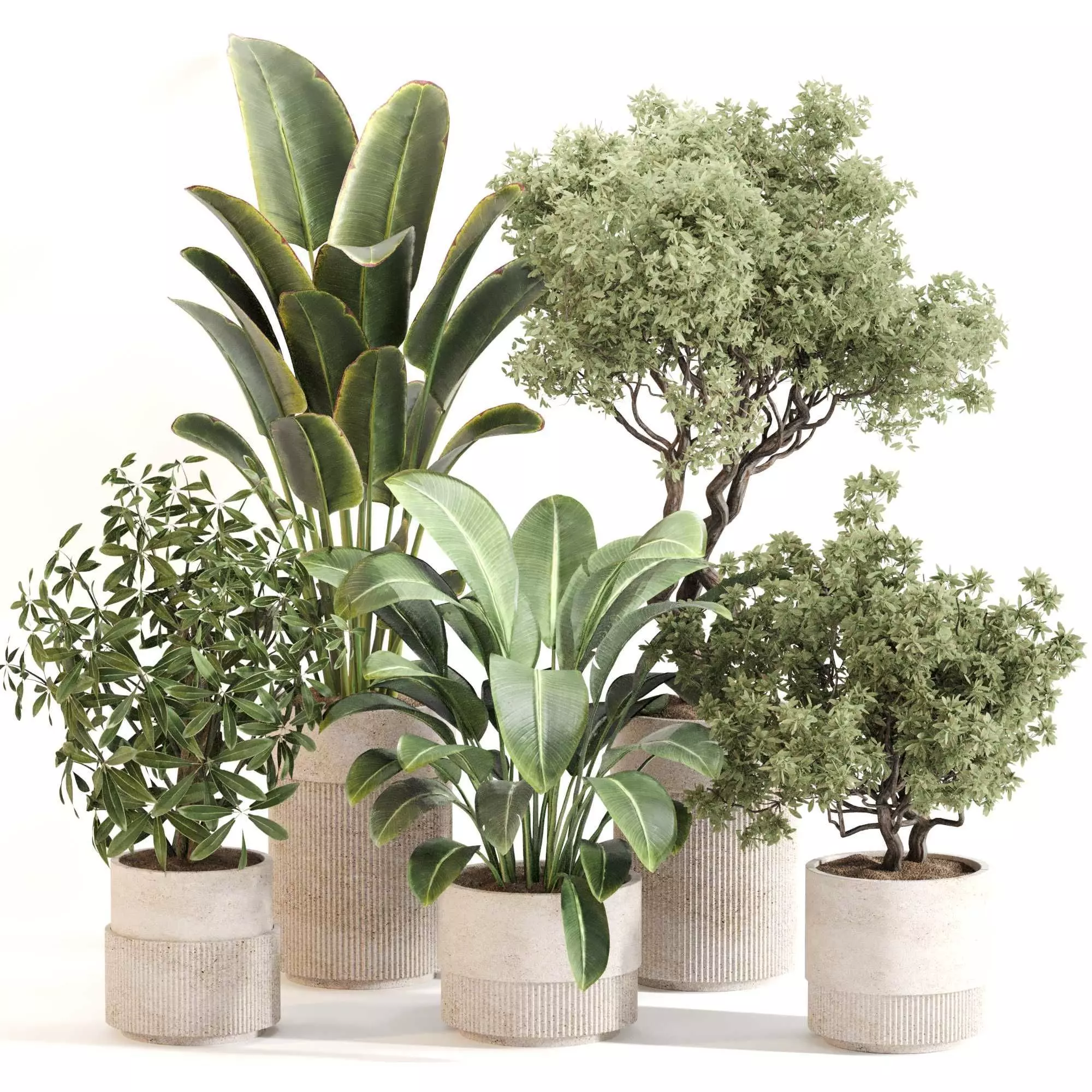Indoor Plant Set 0120 3D model