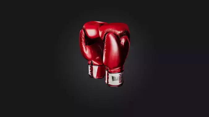 Boxing Gloves