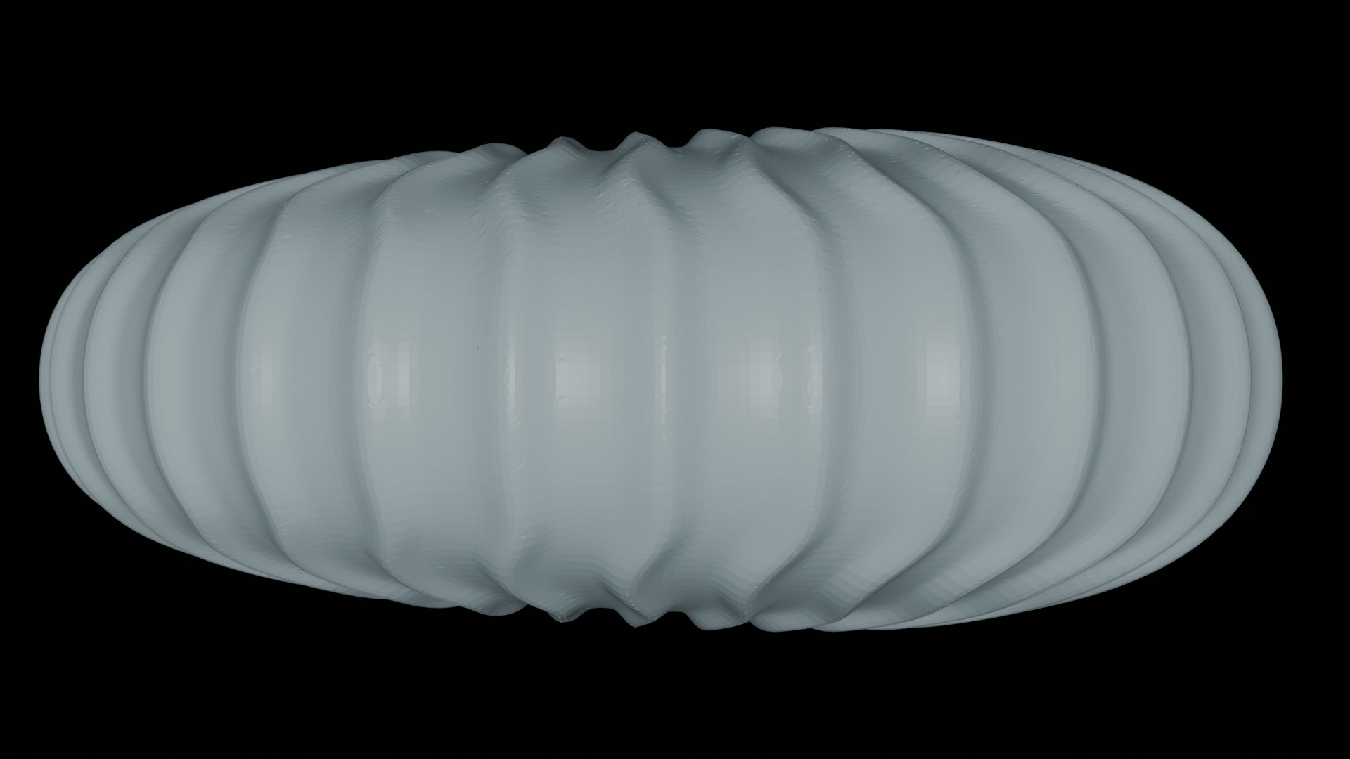 Ammonoid shell with sinuous ribs 3D model_3