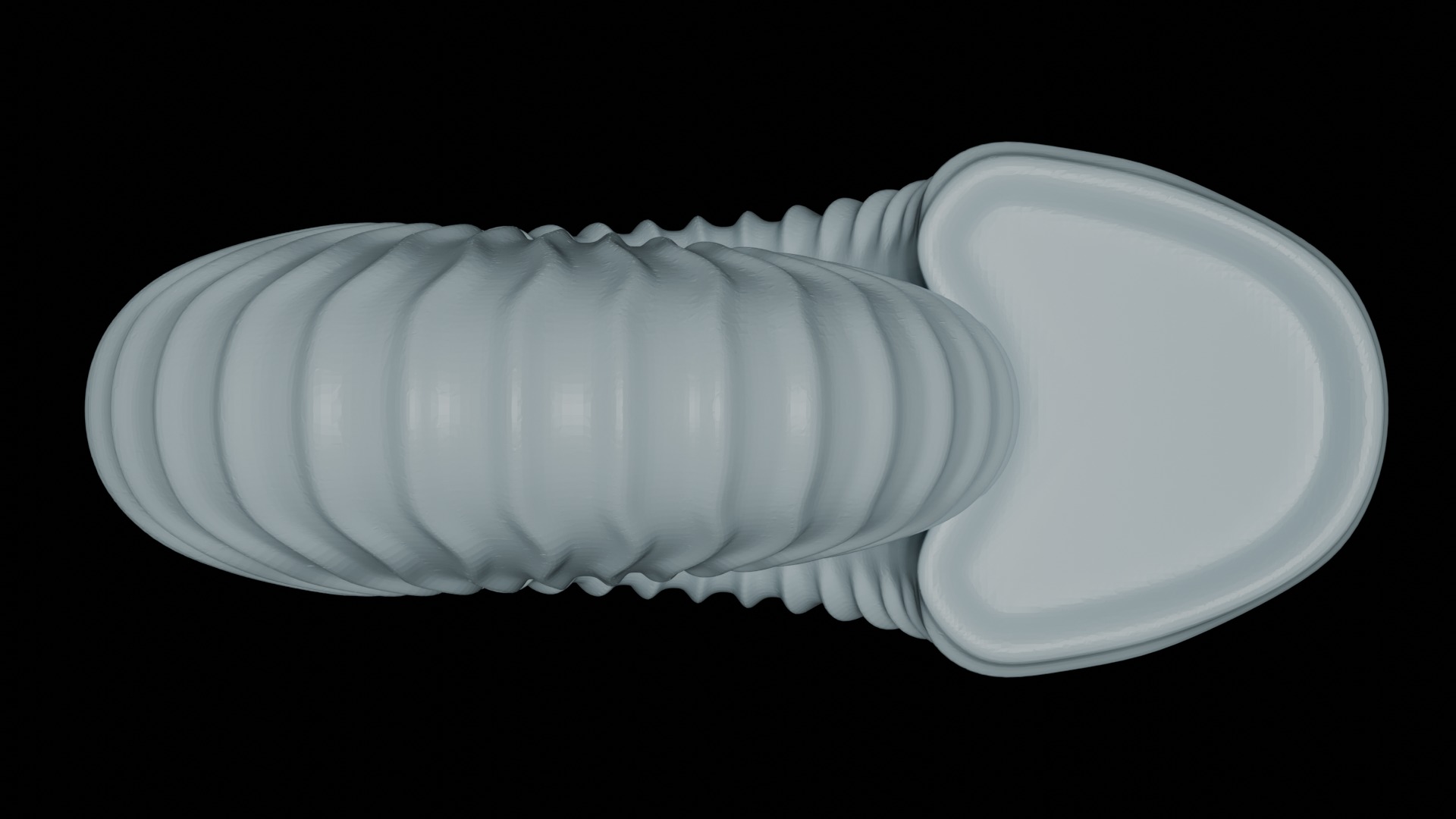 Ammonoid shell with sinuous ribs 3D model_2