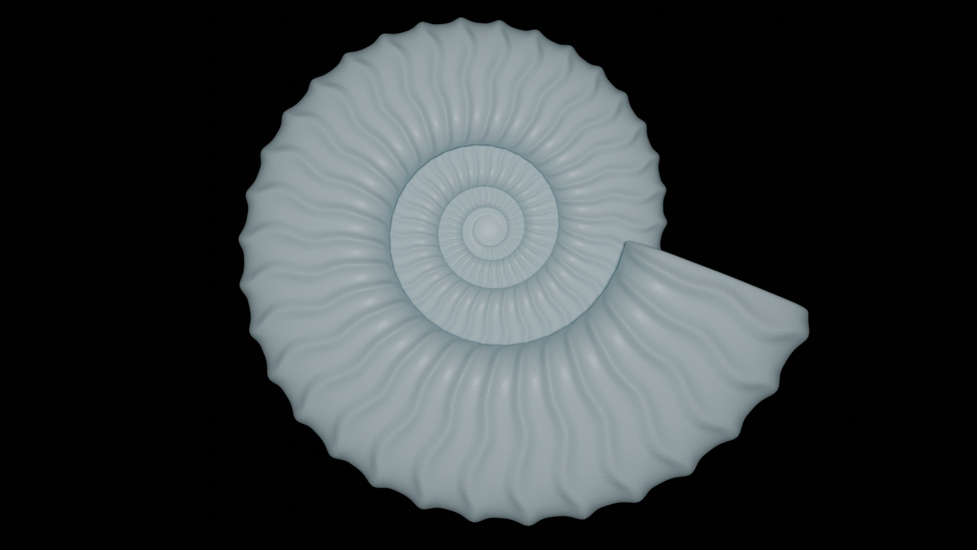 Ammonoid shell with sinuous ribs 3D model_1